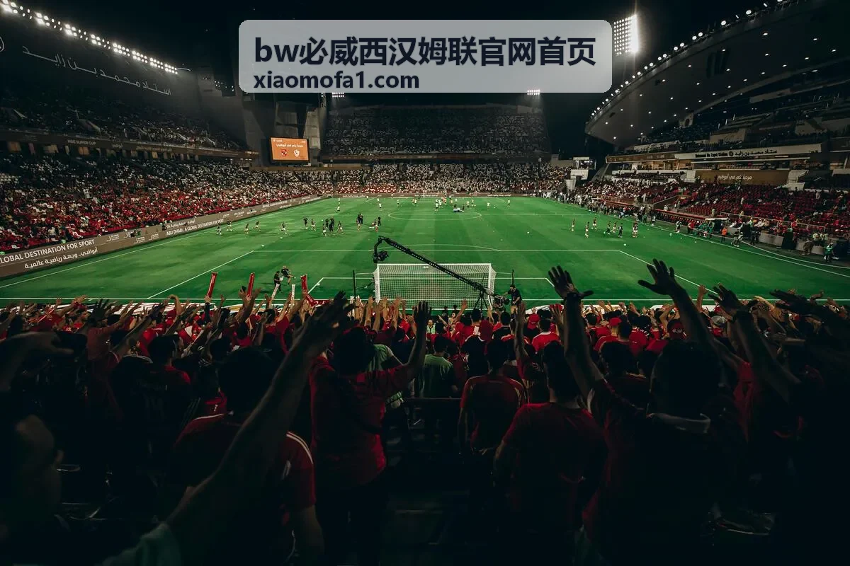 bw必威西汉姆联官网首页 栏目分区浏览示意