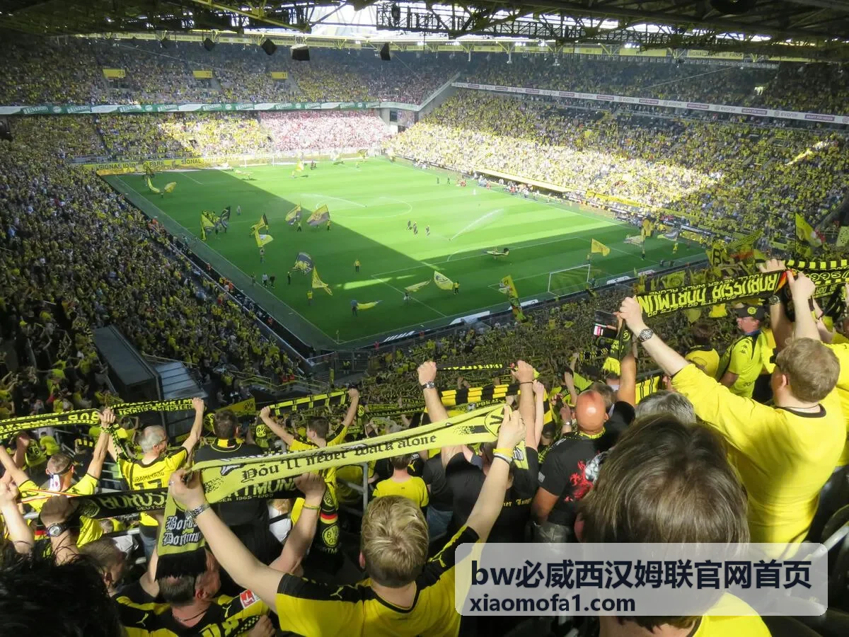 bw必威西汉姆联官网首页图文详情阅读页面示意图